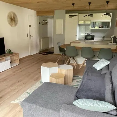 Renove, 4 Pers, Balcon Sud, Prox. Pistes Et Navette, - Fr-1-467-126