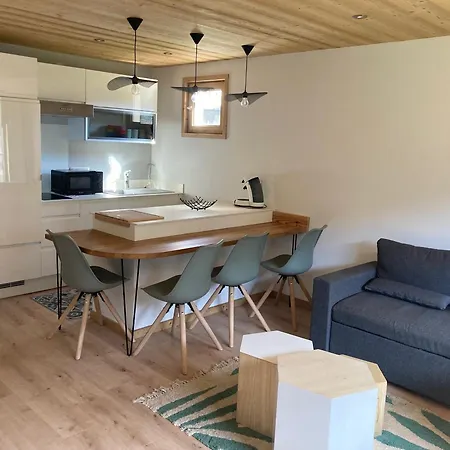 Renove, 4 Pers, Balcon Sud, Prox. Pistes Et Navette, - Fr-1-467-126 Le Grand-Bornand